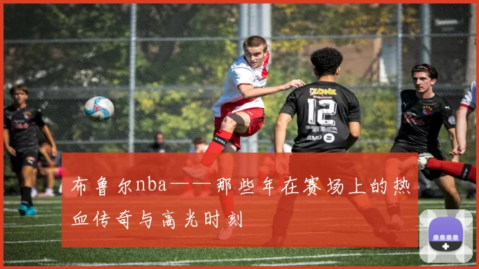 布鲁尔nba——那些年在赛场上的热血传奇与高光时刻