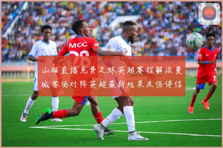 山猫直播免费足球英超赛程解读曼城客场对阵英超最新结果及伤停信息