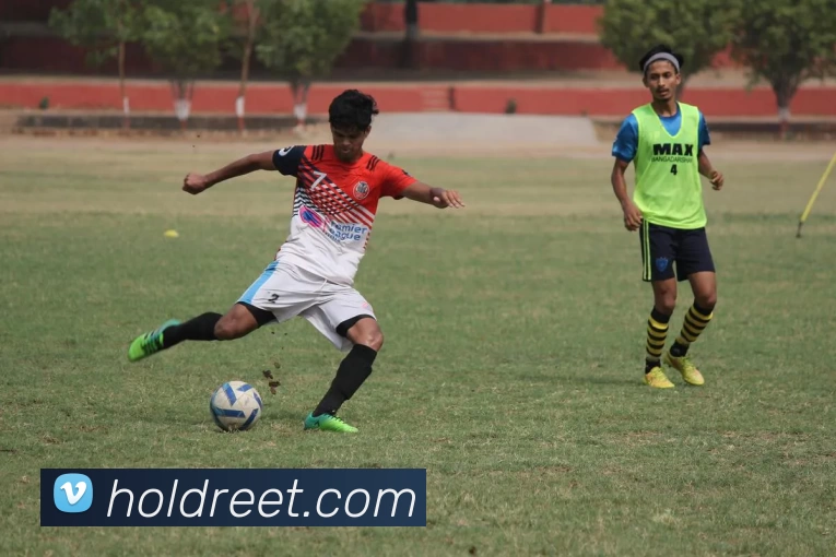 乐鱼官网手机网页版平台生态图